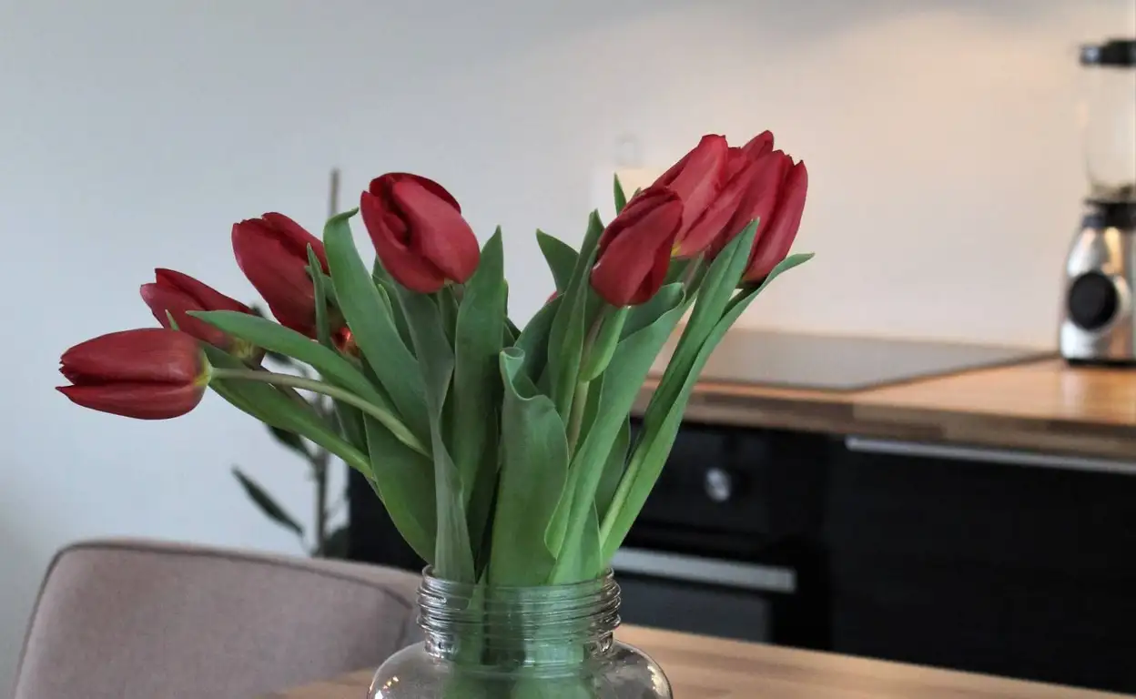 Foto #11 Appartement Prins Hendrikstraat Gouda