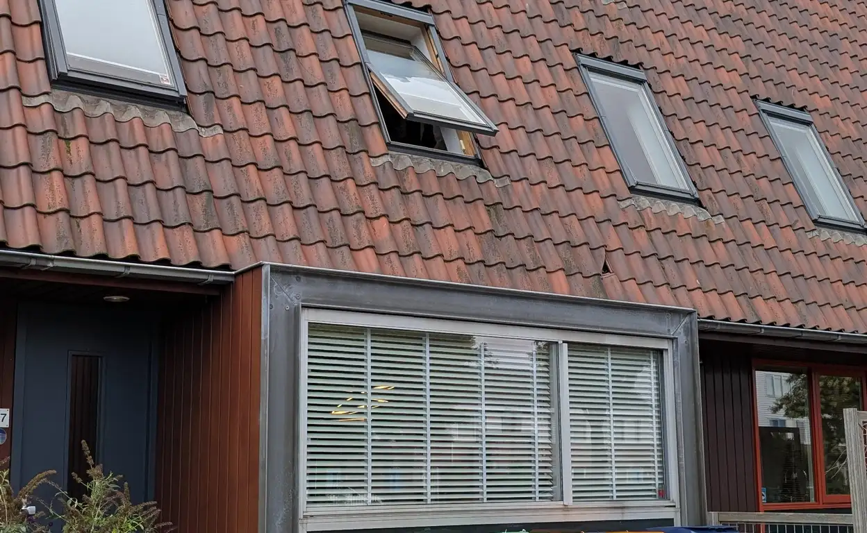 Foto #50 Huurwoning Frank van Hulsentoplaan Den Haag
