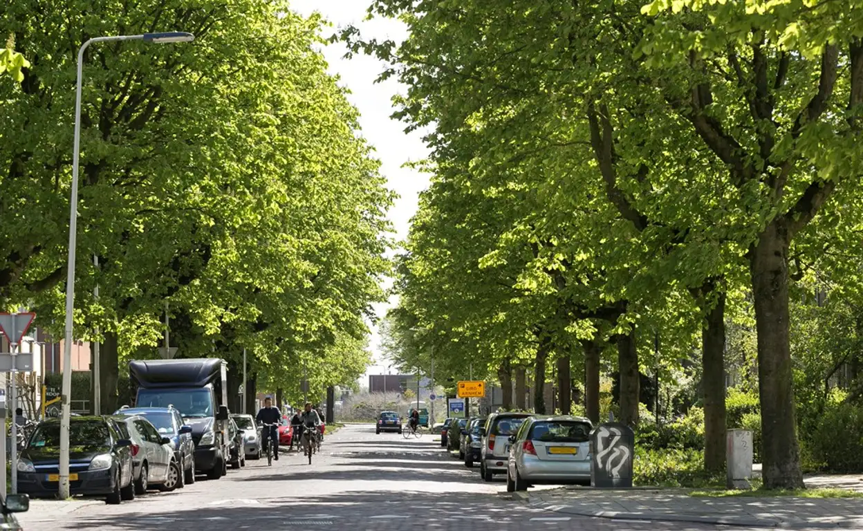 Foto #0 Kamer Van Oldenbarneveldtstraat Arnhem