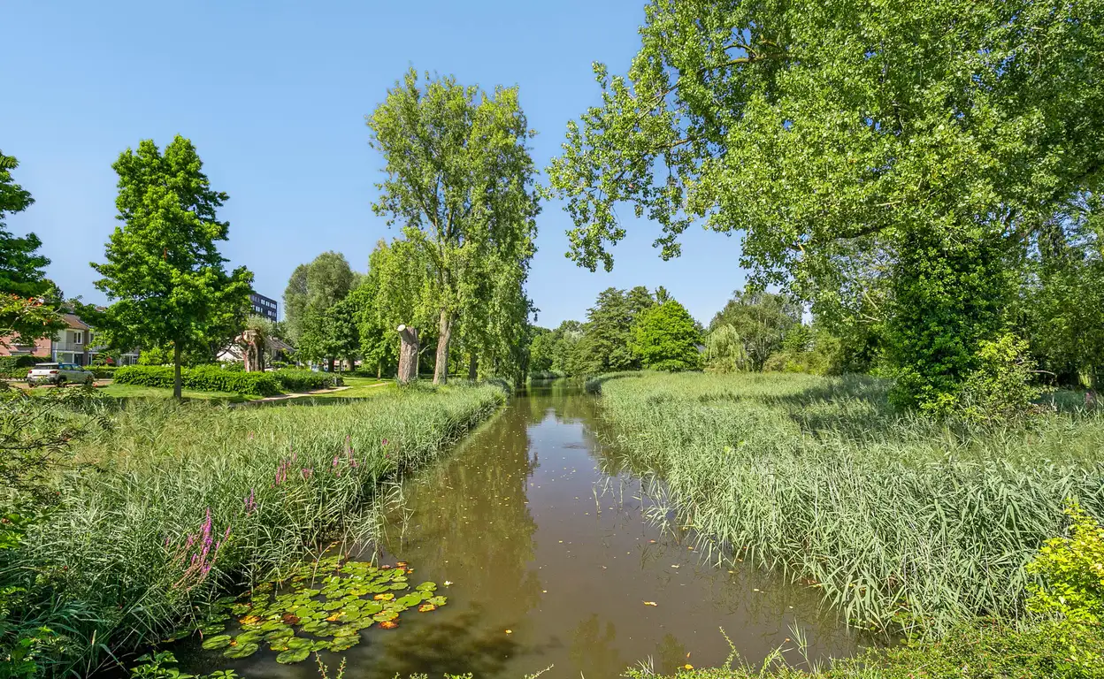 Foto #18 Huurwoning Odysseuslaan Eindhoven