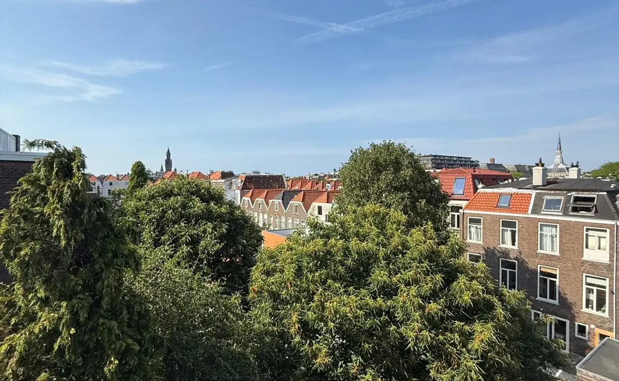 Foto #6 Appartement Vondelstraat Den Haag
