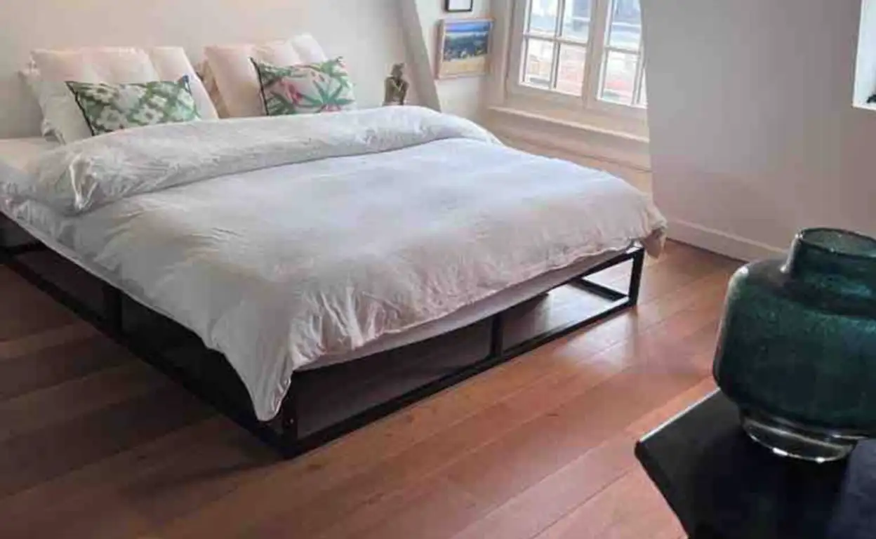 Foto #18 Appartement Palestrinastraat Amsterdam