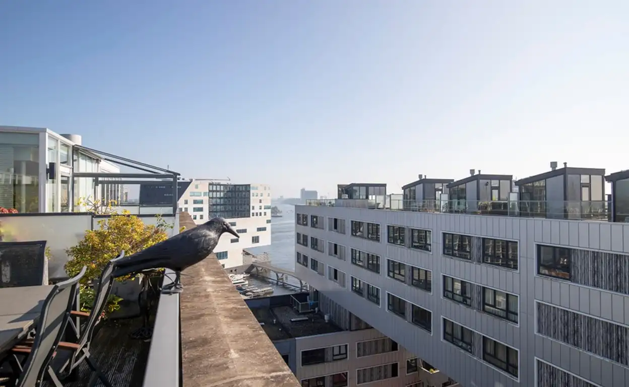 Foto #62 Appartement Westerdoksdijk Amsterdam