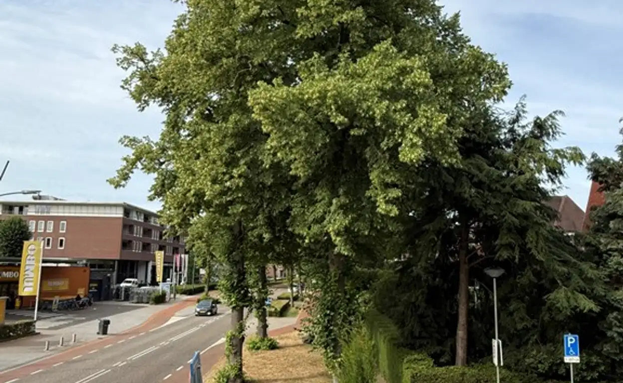 Foto #12 Appartement Heuvelstraat Beek