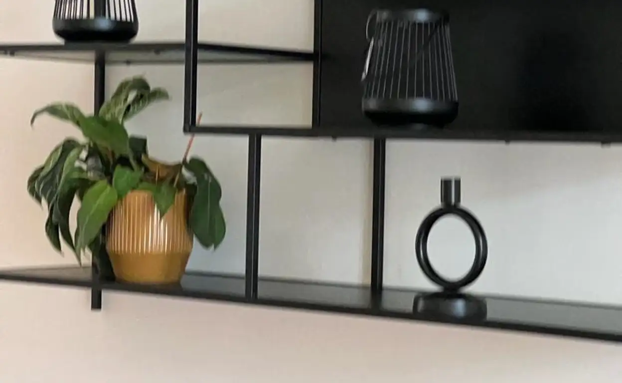 Foto #15 Appartement Zoutmanstraat Den Haag