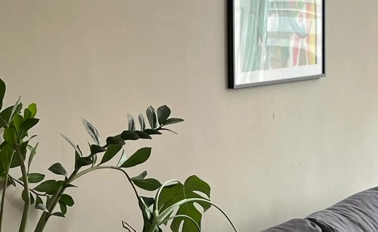 Foto #17 Appartement Zoutmanstraat Den Haag