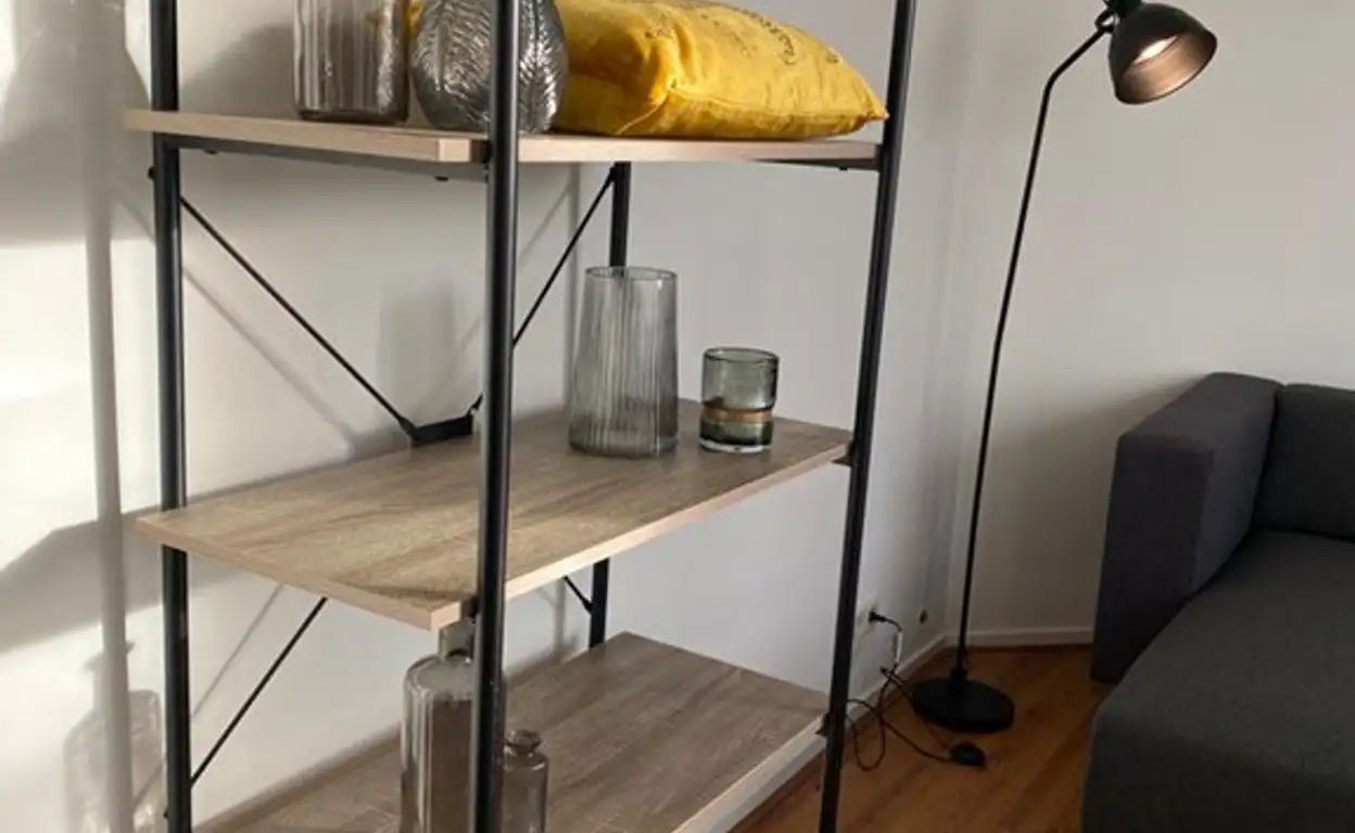 Foto #3 Appartement 2e Sweelinckstraat Den Haag