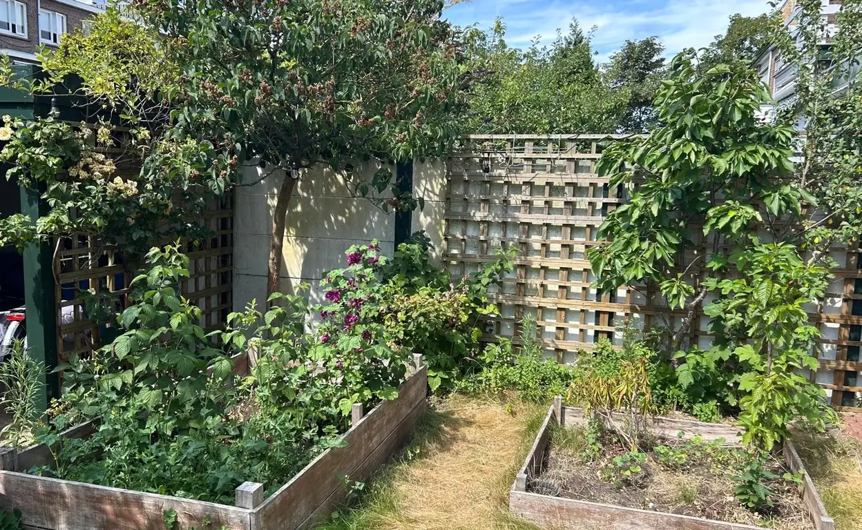 Foto #28 Huurwoning Lippe-Biesterfeldweg Den Haag