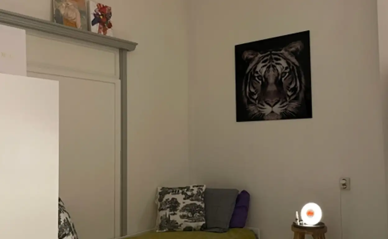 Foto #8 Kamer Delpratsingel Breda