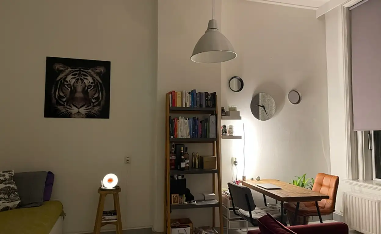 Foto #6 Kamer Delpratsingel Breda