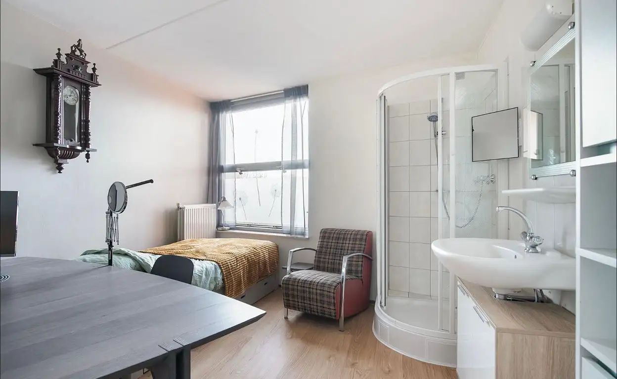Foto #12 Appartement Saenredamstraat Eindhoven