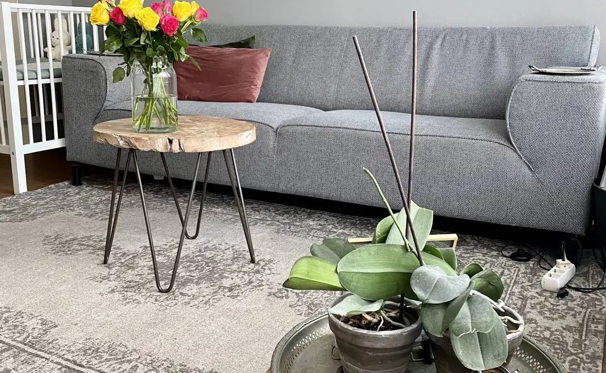 Foto #2 Appartement Prinses Ireneplateau Utrecht