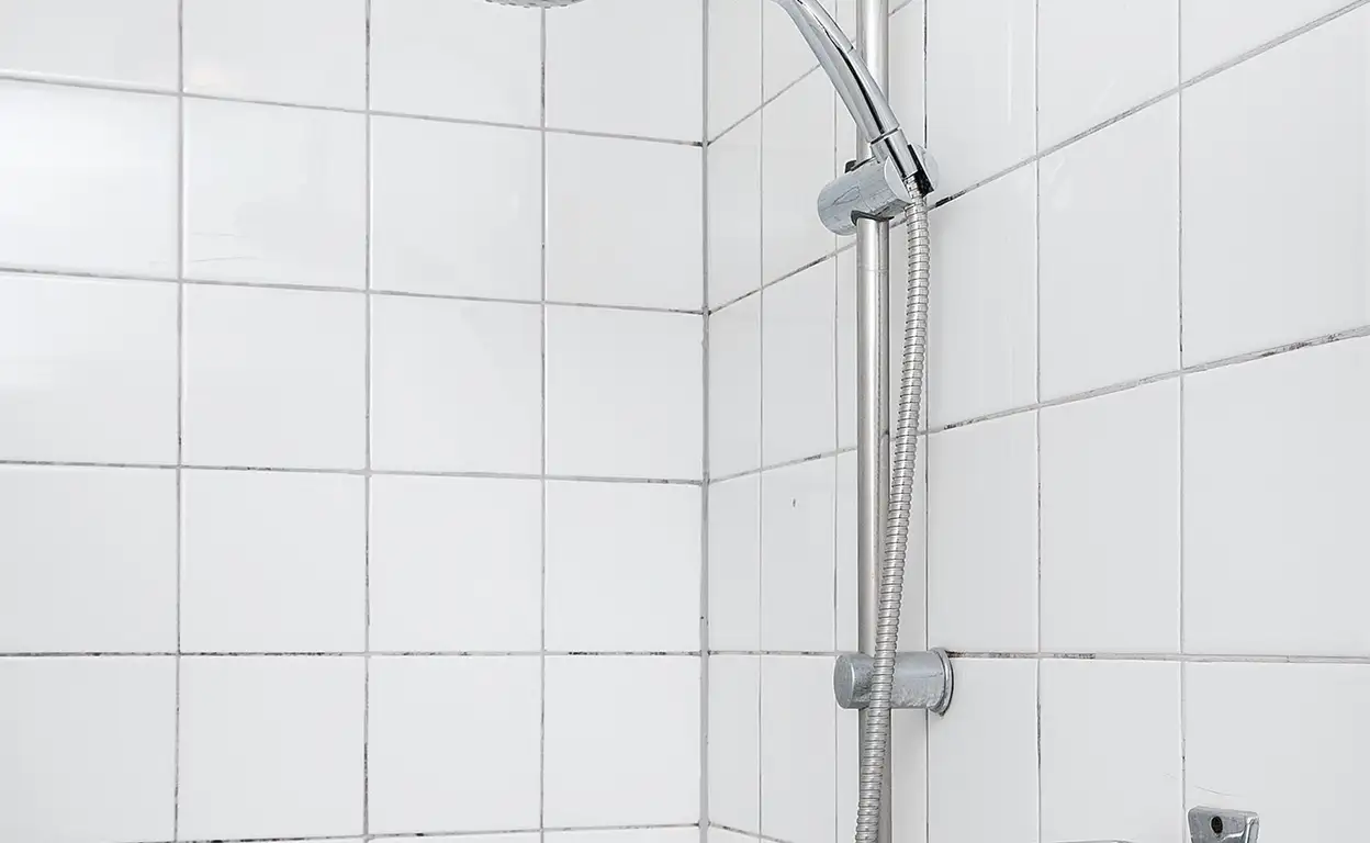 Foto #25 Huurwoning Berkenlaan Harmelen