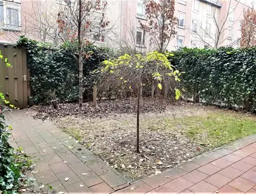 Foto #4 Appartement Makassarstraat Amsterdam