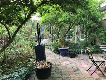 Foto #2 Huurwoning Sportlaan Oudesluis