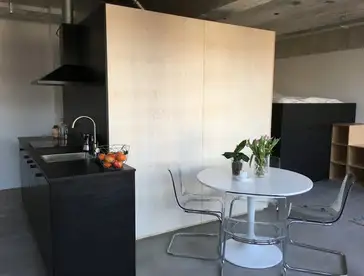 Foto #3 Studio Professor Pieter Willemsstraat Maastricht