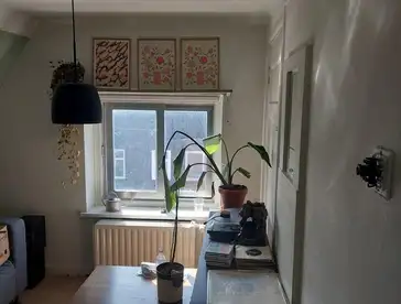 Foto #4 Kamer Prunusstraat Tilburg