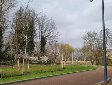 Foto #2 Huurwoning Koningin Maximalaan Hoofddorp