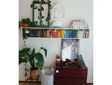 Foto #3 Studio Carolina MacGillavrylaan Amsterdam