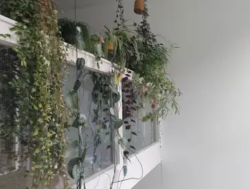 Foto #1 Huurwoning Adriaan Menninckkwartier Utrecht