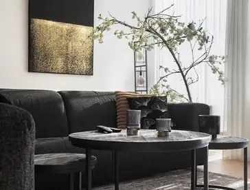 Foto #4 Appartement Herculeslaan Utrecht