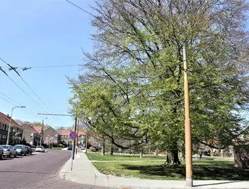 Foto #1 Kamer Schuttersbergplein Arnhem