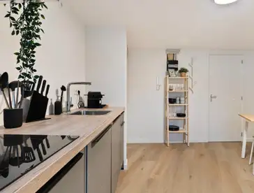 Foto #4 Appartement Rosmolenplein Tilburg