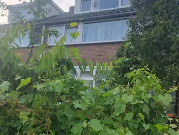 Foto #3 Kamer Van Deventerstraat Haarlem