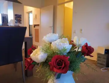 Foto #4 Appartement Eisenhowerstraat Sittard