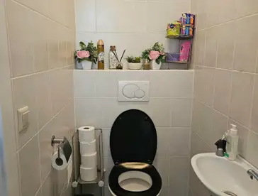 Foto #3 Appartement Van Roomenstraat Roosendaal