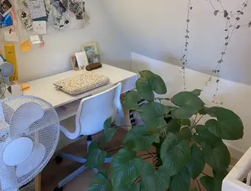 Foto #1 Appartement Jansveld Utrecht
