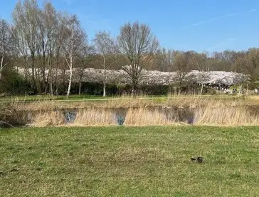 Foto #3 Huurwoning Noorddammerlaan Amstelveen