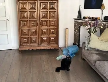 Foto #2 Appartement Van Tuyll van Serooskerkenweg Amsterdam