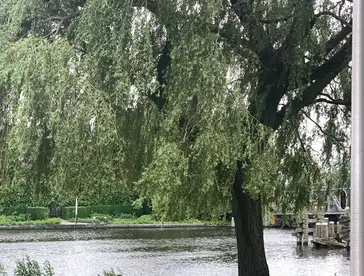 Foto #3 Appartement Wilhelminakade Uithoorn