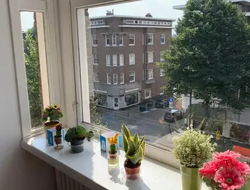 Foto #4 Appartement Vondelstraat Den Haag