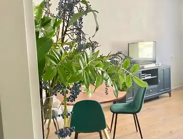 Foto #1 Appartement Mallemolen Den Haag