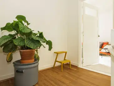 Foto #2 Appartement Hofstraat Groningen