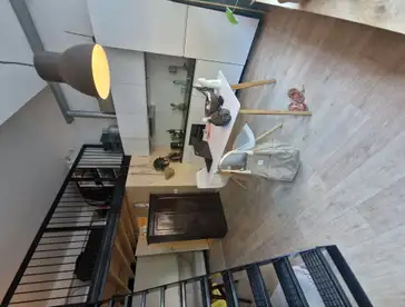Foto #1 Appartement Middellaan Breda