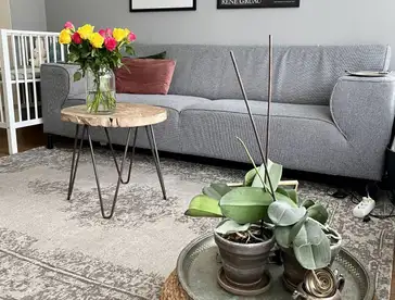 Foto #2 Appartement Prinses Ireneplateau Utrecht