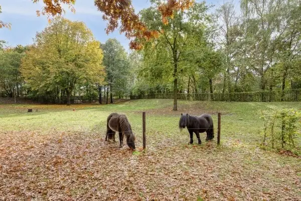 Foto #14 Appartement Oudvensestraat Mierlo