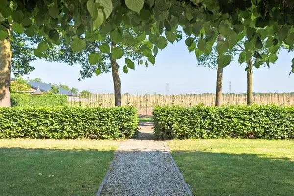 Foto #37 Huurwoning Geeneindseweg Oirschot