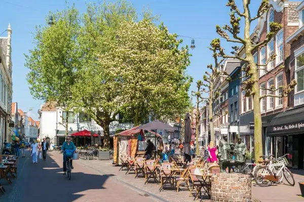 Foto #39 Huurwoning Drapenierstraat Haarlem