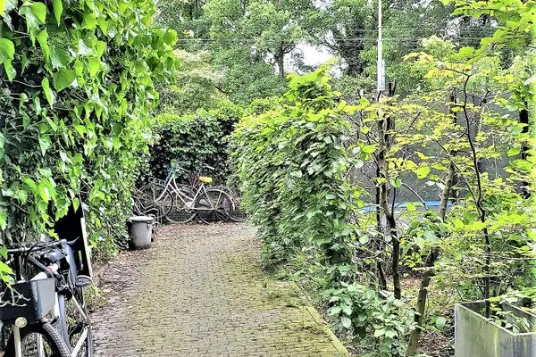 Foto #41 Appartement Linnaeusstraat Amsterdam