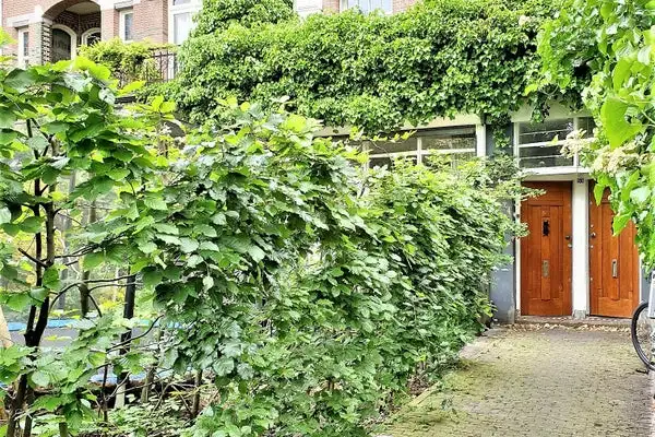 Foto #42 Appartement Linnaeusstraat Amsterdam