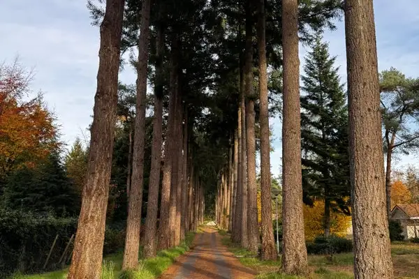 Foto #13 Huurwoning Hammerweg Ommen