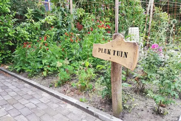 Foto #18 Appartement Billitonstraat Groningen