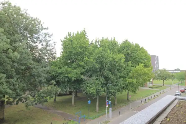 Foto #7 Huurwoning Archimedesstraat Breda