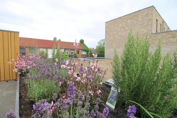 Foto #13 Huurwoning Archimedesstraat Breda