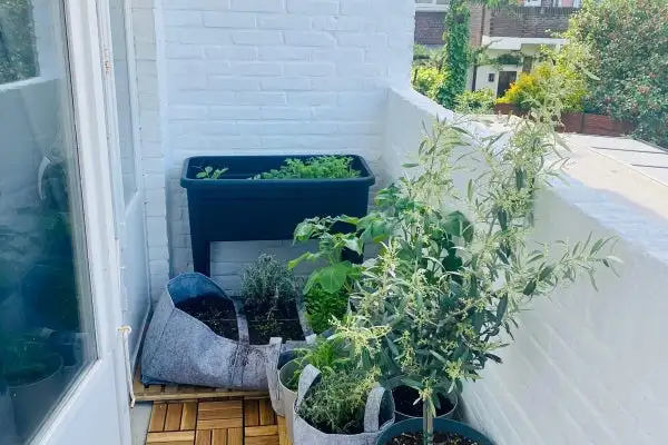 Foto #1 Appartement Voorthuizenstraat Den Haag