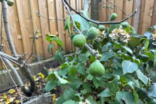 Foto #18 Studio Vogelsanglaan Utrecht